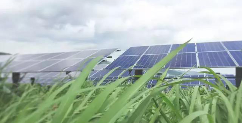 今期四不像图今晚