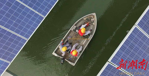 今期四不像图今晚