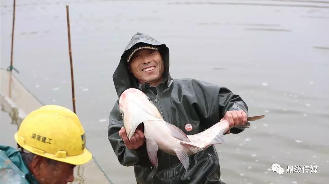 今期四不像图今晚