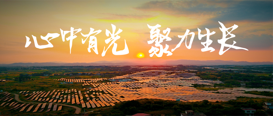 今期四不像图今晚