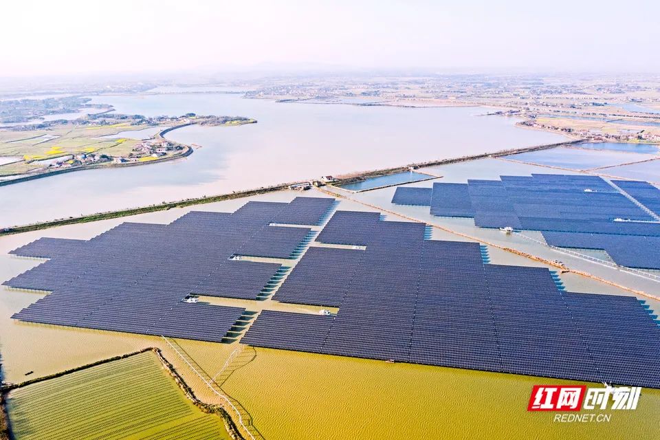 今期四不像图今晚