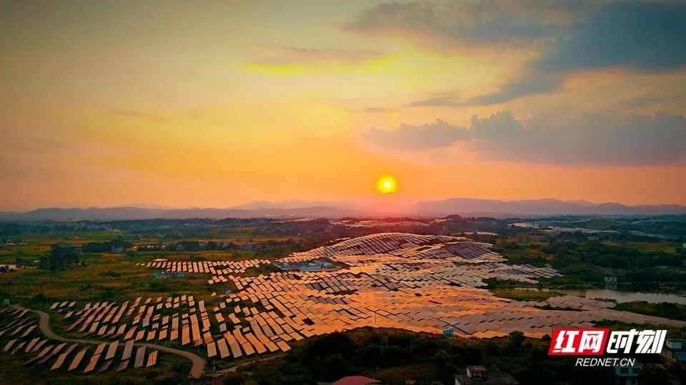 今期四不像图今晚